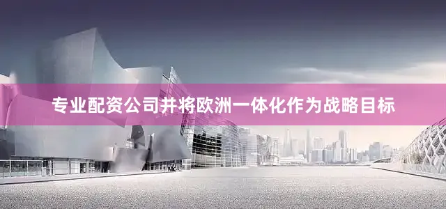 专业配资公司并将欧洲一体化作为战略目标