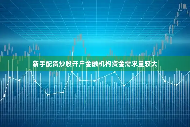 新手配资炒股开户金融机构资金需求量较大