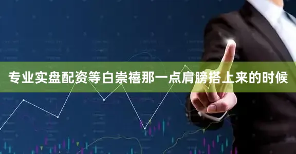 专业实盘配资等白崇禧那一点肩膀搭上来的时候