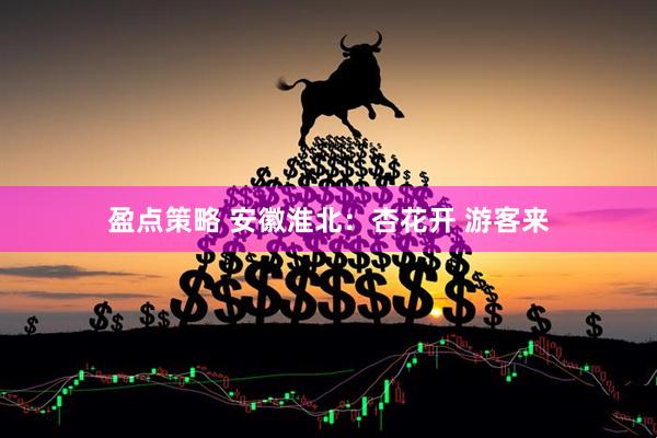 盈点策略 安徽淮北：杏花开 游客来