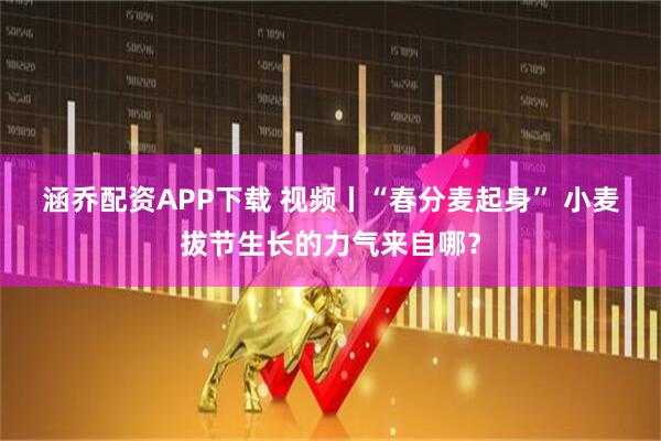 涵乔配资APP下载 视频丨“春分麦起身” 小麦拔节生长的力气来自哪？