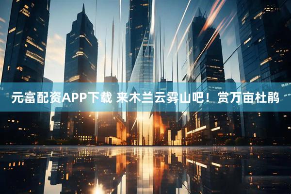 元富配资APP下载 来木兰云雾山吧！赏万亩杜鹃