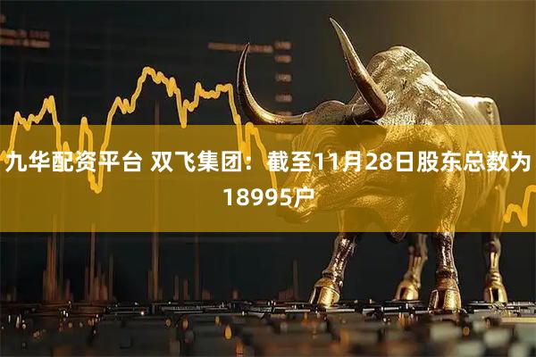 九华配资平台 双飞集团：截至11月28日股东总数为18995户